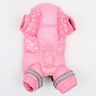 Комбинезон для собак «Горошек», размер 18 (ДС 31, ОГ 46, ОШ 38 см), розовый - Фото 8