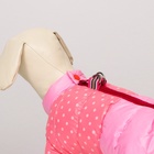 Комбинезон для собак «Горошек», размер 22 (ДС 48, ОГ 54, ОШ 38 см), розовый - Фото 4