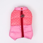 Комбинезон для собак «Горошек», размер 22 (ДС 48, ОГ 54, ОШ 38 см), розовый - Фото 9