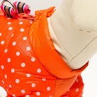 Комбинезон для собак "Горошек", размер 10 (ДС 25, ОГ 34, ОШ 24 см), рыжий - Фото 5