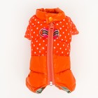 Комбинезон для собак "Горошек", размер 10 (ДС 25, ОГ 34, ОШ 24 см), рыжий - Фото 8