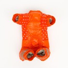 Комбинезон для собак «Горошек», размер 20 (ДС 43, ОГ 56, ОШ 41 см), рыжий - Фото 9