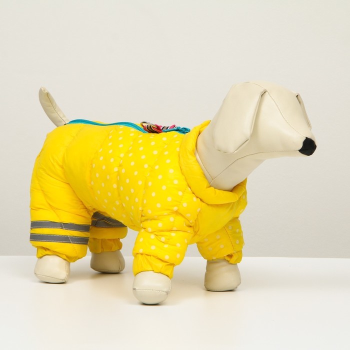 Комбинезон для собак  "Горошек", размер 10 (ДС 25, ОГ 34, ОШ 24 см), жёлтый - Фото 1