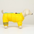 Комбинезон для собак  "Горошек", размер 10 (ДС 25, ОГ 34, ОШ 24 см), жёлтый - фото 7256686