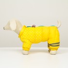 Комбинезон для собак  "Горошек", размер 10 (ДС 25, ОГ 34, ОШ 24 см), жёлтый - фото 7256688