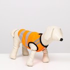 Светоотражающий жилет для собак, размер 10 (ДС 25 см, ОГ 34 см, ОШ 24 см), оранжевый - фото 9417196