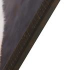 Картина велюр "Взгляд тигра" 100х70 (105х74) см - фото 32677932