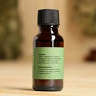 Масло эфирное «Розмарин» 20 мл, крафт, Добропаровъ - Фото 5