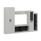 Стенка «Oskar-4», 2700×420×1900 мм, сосна белая loft/венге - Фото 2