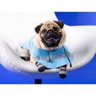 Носки нескользящие «Люблю косточки», S (2.5/3.5×6 см), набор 4 шт. - Фото 2