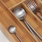 Лоток для столовых приборов Доляна «Бамбуковый лес», 37×26×4 см, 6 ячеек - Фото 3