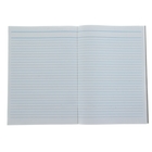Книга учёта А4, 48 листов, в линейку, офсет - Фото 2
