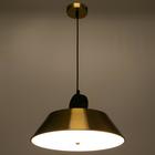 Светильник BayerLux 1248/1 LEd=24 Вт 3000-6000К золото 38×38×11-111 см - фото 3764780