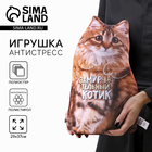 Игрушка антистресс «Котик» - Фото 1