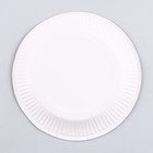 Тарелка бумажная «С Днём Рождения», шарики, набор 6 шт. - Фото 4