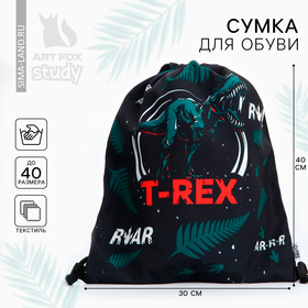 Сумка для обуви «T-REX»,текстиль, размер 41х34х0,5 см