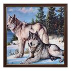 Картина велюр "Два волка" 70х70 (73х73)см - фото 321304586