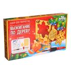 Набор для выжигания и росписи по дереву «С Новым годом!» 6779204