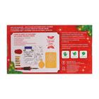 Набор для выжигания и росписи по дереву «С Новым годом!» 6779204