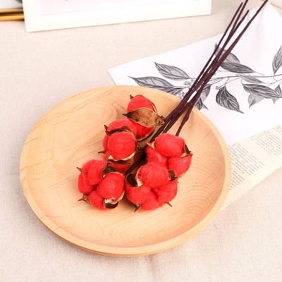 Декор сухоцвет "Хлопок" d-5 см, 30 см, коралловый