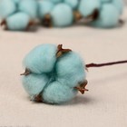 Декор сухоцвет «Хлопок», d=5 см, 30 см, голубой - Фото 2