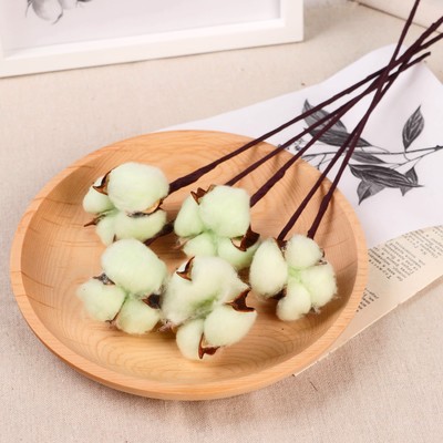 Декор сухоцвет «Хлопок», h=30 см, d=5 см, зелёный