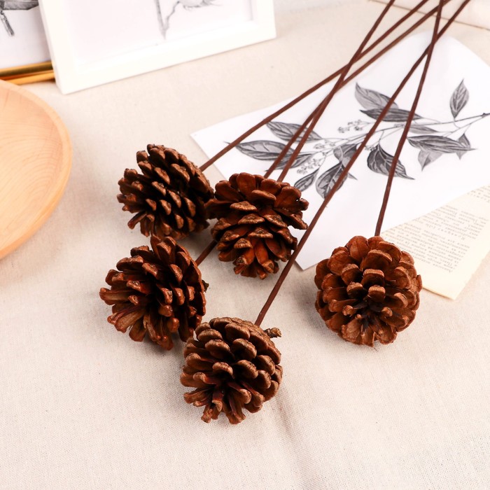 Декор сухоцвет «Сосновая шишка», h=40 см, d=5.5 см, коричневый - Фото 1