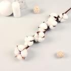 Декор сухоцвет «Хлопок», h=70 см, d=5 см - Фото 1