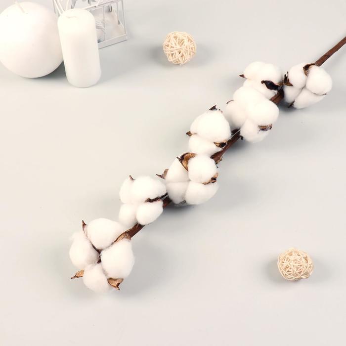 Декор сухоцвет «Хлопок», h=70 см, d=5 см - Фото 1