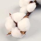 Декор сухоцвет «Хлопок», h=70 см, d=5 см - Фото 2