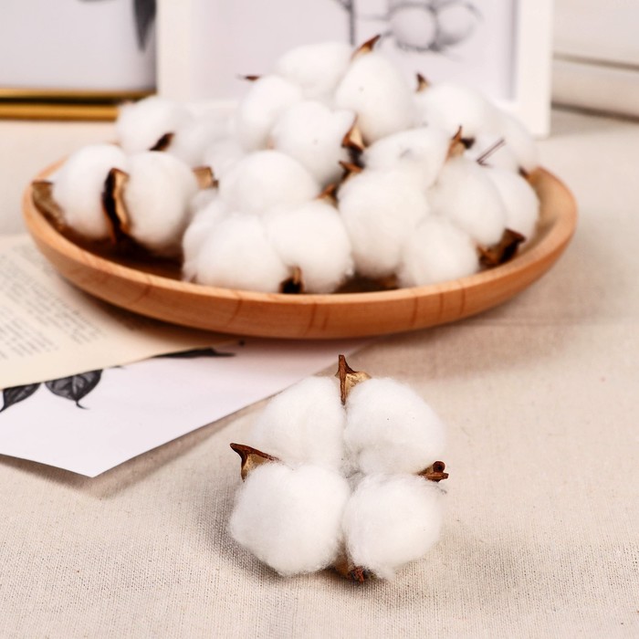 Декор сухоцвет «Хлопок», d=5 см, белый - Фото 1