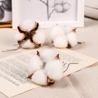 Декор сухоцвет «Хлопок», d=5 см, белый - Фото 2