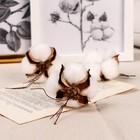 Декор сухоцвет «Хлопок», d=5 см, белый - Фото 3