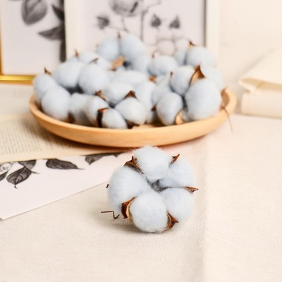 Декор сухоцвет «Хлопок», d=5 см, 5 см, голубой