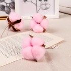 Декор сухоцвет «Хлопок», d=5 см, 5 см, розовый - Фото 2