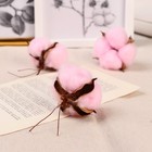 Декор сухоцвет «Хлопок», d=5 см, 5 см, розовый - Фото 3