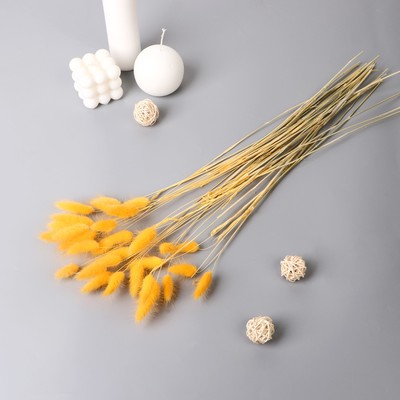 Сухоцветы «Лагурус», h=65 см, (фасовка 30 шт., цена за 1 шт.), жёлтые