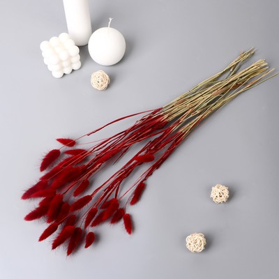 Сухоцветы «Лагурус», h=65 см, (фасовка 30 шт., цена за 1 шт.), красные