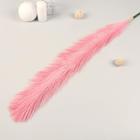 Декор «Перо Грация», h=120 см, МИКС 7081268