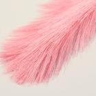 Декор «Перо Грация», h=120 см, МИКС 7081268