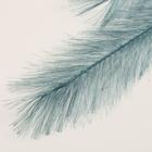 Декор «Перо Очарование», h=120 см, МИКС - Фото 3