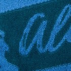 Полотенце именное махровое Этель "Александр" синий, 50х90см, 100% хлопок, 420гр/м2 - фото 9825034