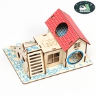 Комплекс-площадка для грызунов, 19×14 см, 2 домика и горка, фанера - Фото 4