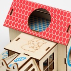 Комплекс-площадка для грызунов, 19×14 см, 2 домика и горка, фанера - Фото 10