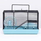 Клетка-мини для грызунов «Пижон» №2, укомплектованная, 27×15×16 см, бирюзовая - фото 35730208