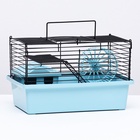 Клетка-мини для грызунов «Пижон» №2, укомплектованная, 27×15×16 см, бирюзовая - фото 35730209