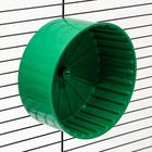 Колесо для грызунов полузакрытое пластиковое, с подставкой, 14 см, зеленый микс - фото 24397394