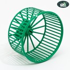 Колесо для грызунов пластиковое, без подставки, 9 см, зеленый микс - Фото 1