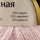 Пряжа "Воздушная" 25%меринос. шерсть, 25%шерсть, 50%акрил 370м/100гр (067 пудра) 7420645 - фото 14055709