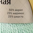 Пряжа "Воздушная" 25%меринос. шерсть, 25%шерсть, 50%акрил 370м/100гр (107 ментол) - Фото 4